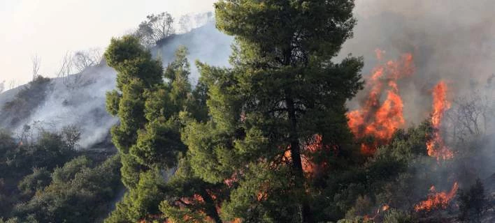 Υψηλός κίνδυνος πυρκαγιάς σήμερα -Σε ποιες περιοχές (χάρτης)
